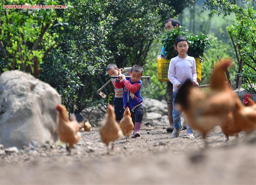 CHINA-GUANGXI-POVERTY RELIEF-DEVELOPMENT (CN)