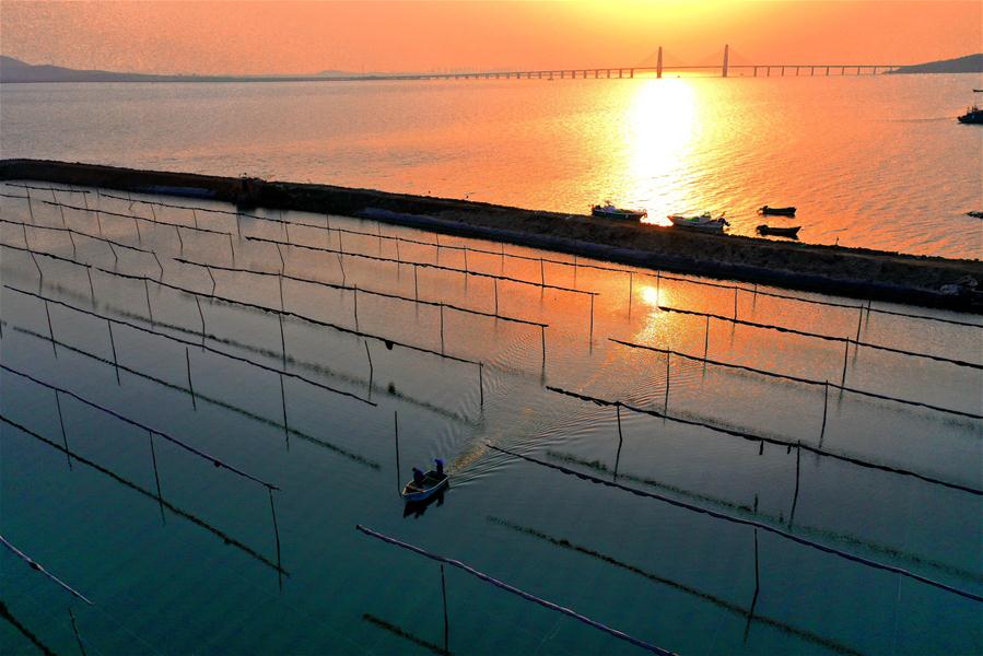 #CHINA-SHANDONG-FISHERY-PRODUCTION RESUMPTION (CN)