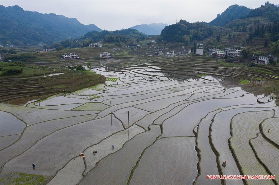 CHINA-SICHUAN-GONGXIAN-TERRACED FIELD-FARMING (CN)