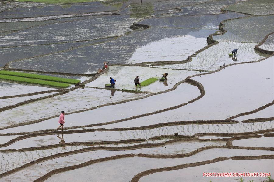 CHINA-SICHUAN-GONGXIAN-TERRACED FIELD-FARMING (CN)