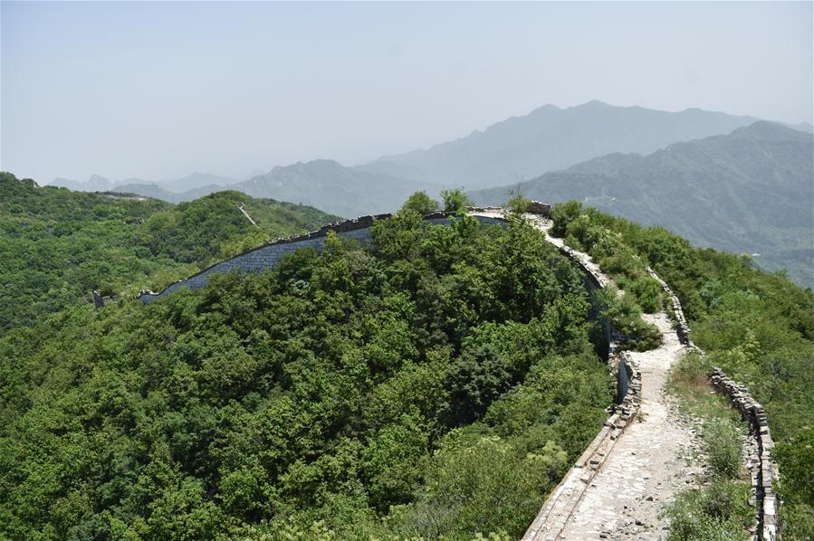 CHINA-BEIJING-THE GREAT WALL-SCENERY (CN)