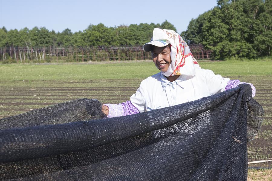 CHINA-HEILONGJIANG-HEZHE ETHNIC GROUP (CN)