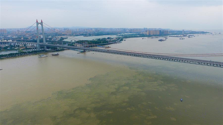 CHINA-HUNAN-DONGTING LAKE-HIGH WATER LEVEL (CN)