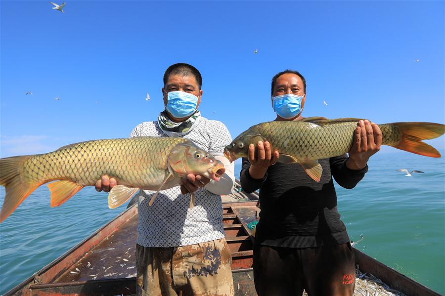 CHINA-XINJIANG-BOSTAN LAKE-FISHING(CN)