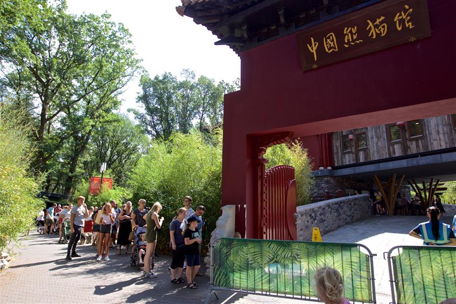 NETHERLANDS-RHENEN-GIANT PANDA