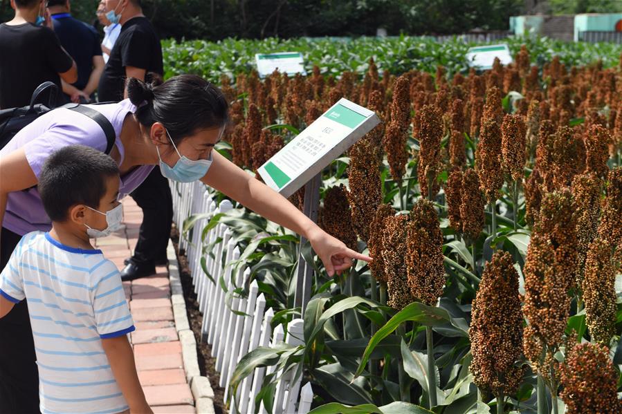 CHINA-JILIN-CHANGCHUN-AGRICULTURE AND FOOD EXPO(CN)