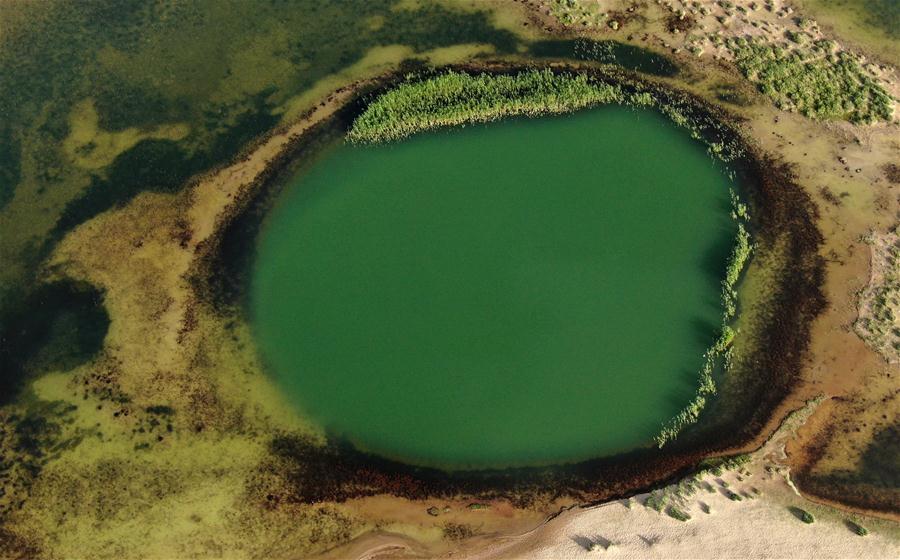 CHINA-QINGHAI-QINGHAI LAKE-NEW LOOK(CN)