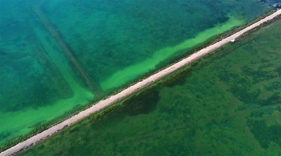 CHINA-QINGHAI-QINGHAI LAKE-NEW LOOK(CN)