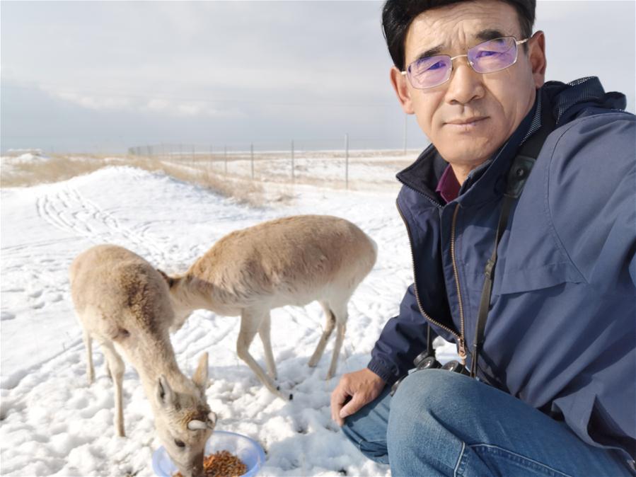 CHINA-QINGHAI-QINGHAI LAKE-NEW LOOK(CN)