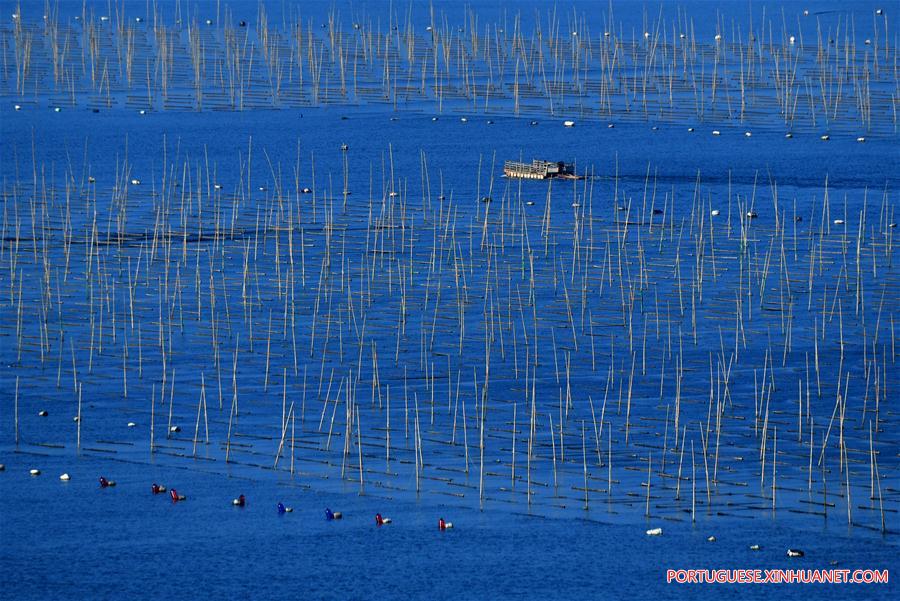 CHINA-FUJIAN-XIAPU-VIEWS (CN)