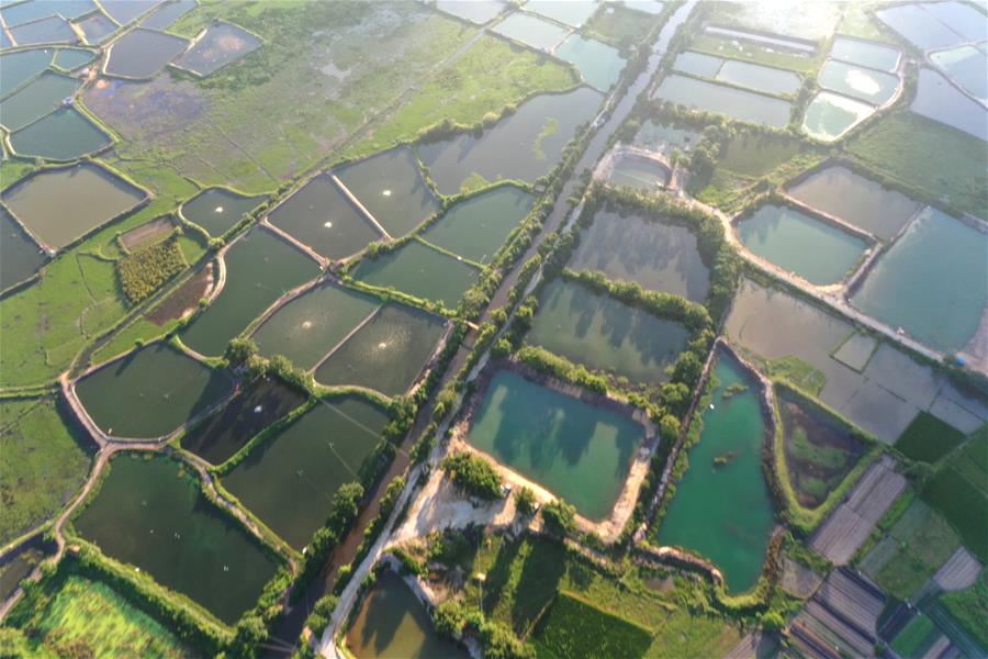 CHINA-GUANGXI-SHRIMP PONDS-SCENERY