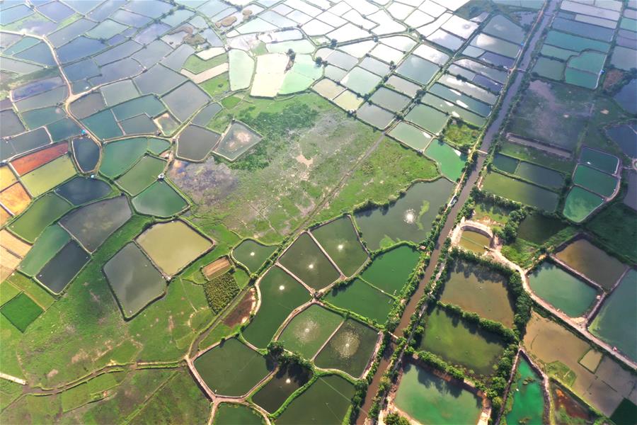 CHINA-GUANGXI-SHRIMP PONDS-SCENERY