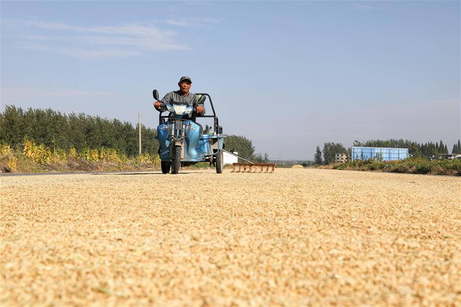 #CHINA-AUTUMN-HARVEST (CN)