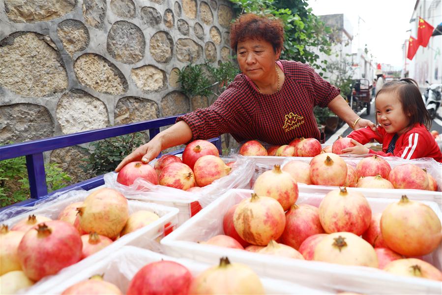 #CHINA-AUTUMN-HARVEST (CN)