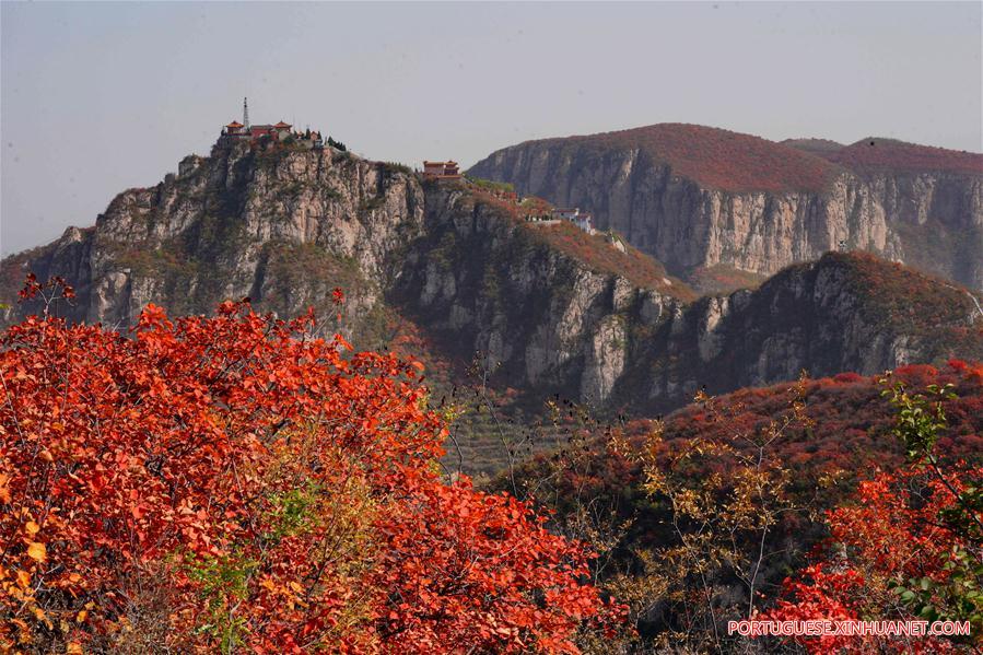 CHINA-HEBEI-RED LEAVES-SCENERY (CN)