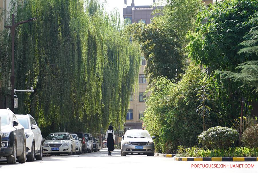 CHINA-XI'AN-OLD RESIDENTIAL COMMUNITY-RENOVATION (CN)