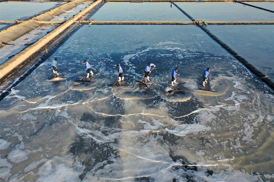 #CHINA-SHANDONG-QINGDAO-SEA SALT-HARVEST (CN)