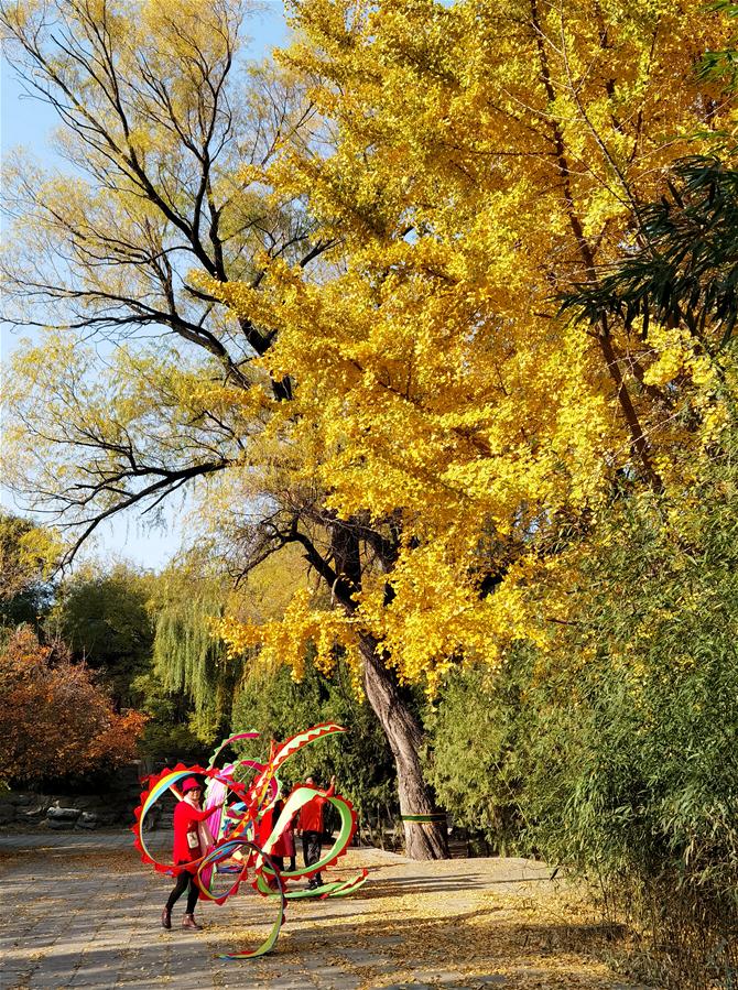 CHINA-BEIJING-YUANMINGYUAN-AUTUMN SCENERY (CN)