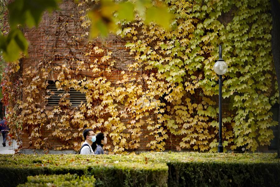 CHINA-BEIJING-TSINGHUA UNIVERSITY-CAMPUS-AUTUMN (CN)