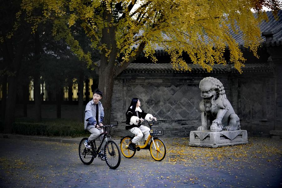 CHINA-BEIJING-TSINGHUA UNIVERSITY-CAMPUS-AUTUMN (CN)