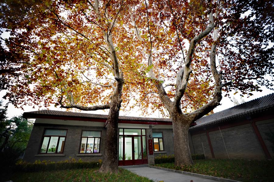 CHINA-BEIJING-TSINGHUA UNIVERSITY-CAMPUS-AUTUMN (CN)