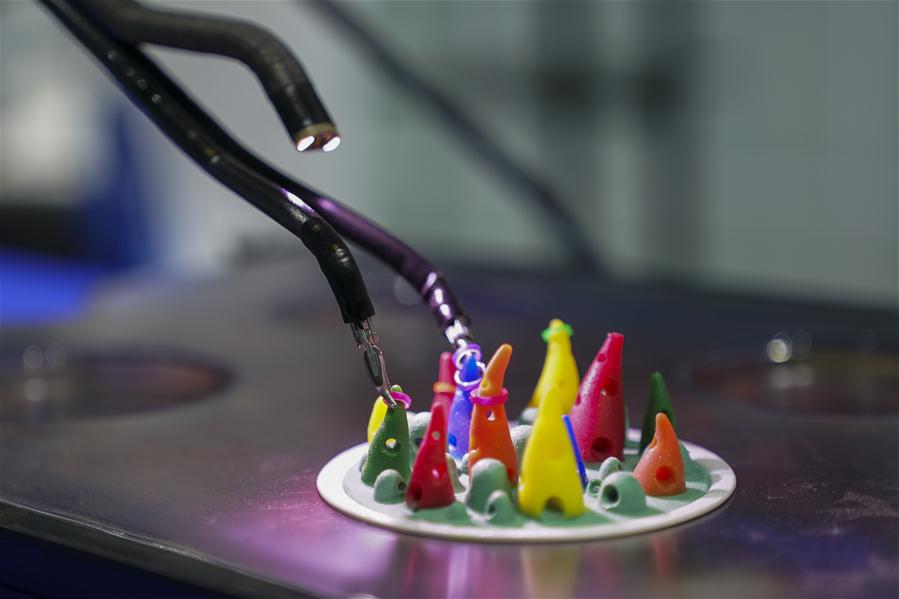 CHINA-SHANGHAI-CIIE-INTELLIGENT ROBOTS (CN)