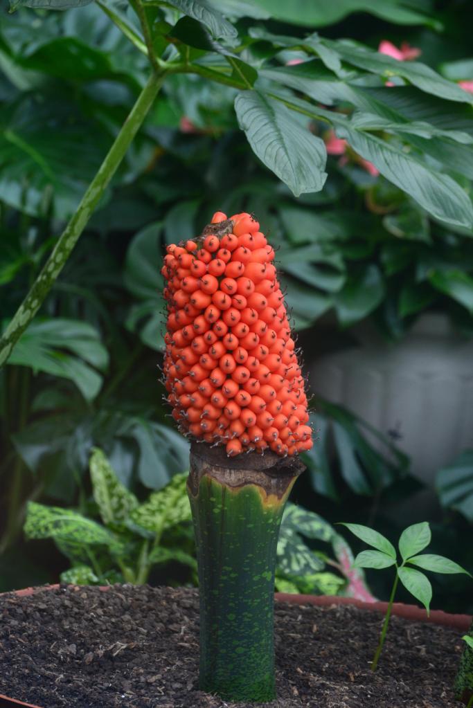 fake potted plants for porch UV Resistant Artificial Outdoor Potted Grass Plant