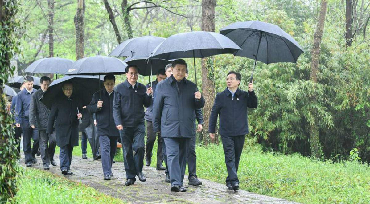 Xi inspeciona conservação de zonas úmidas e gestão urbana em Hangzhou