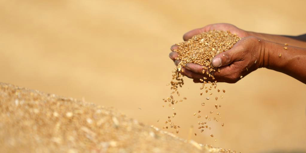 China registra safra abundante de grãos de verão