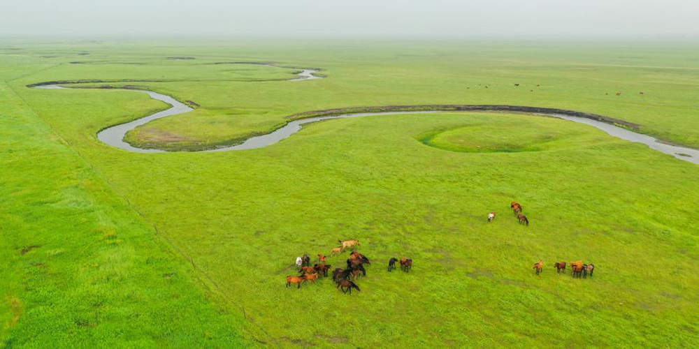 Paisagens de pradaria em Xilin Gol, na Mongólia Interior