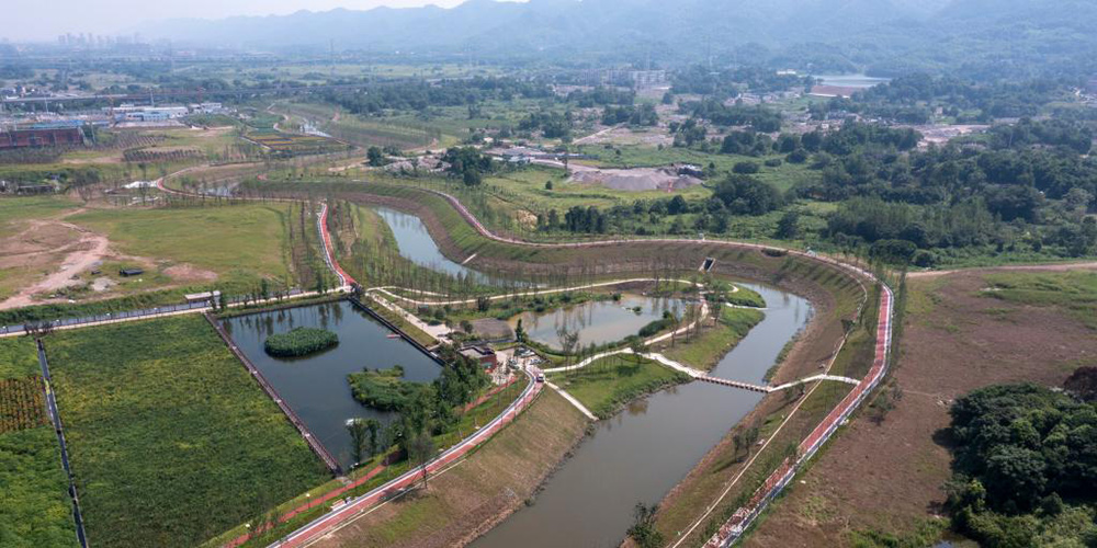 Rio Liangtan em Chongqing apresenta melhora na qualidade da água e no ecossistema