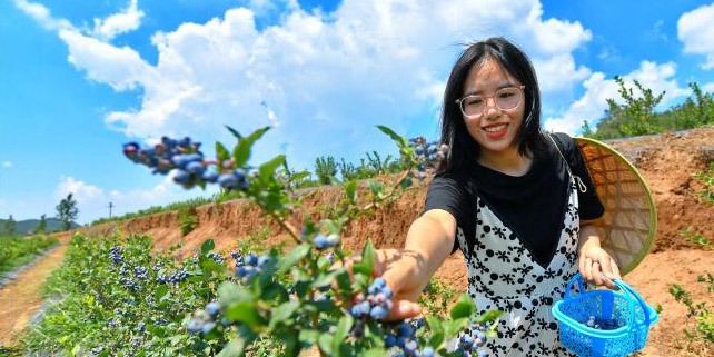 Jovens chineses trazem nova vitalidade ao desenvolvimento econômico rural