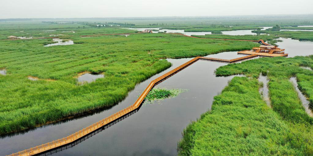 Melhora o ambiente ecológico do Lago Baiyangdian em Hebei