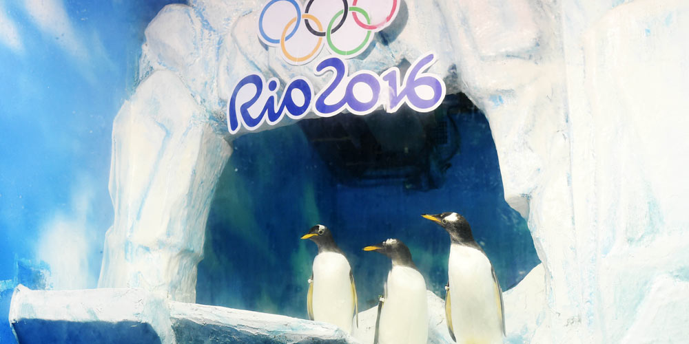 Animais apresentam espetáculos em comemoração dos Jogos Olímpicos no nordeste da China