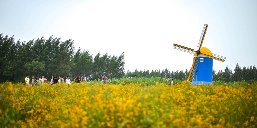 Agro-turismo ocupa um lugar preponderante na economia de Changchun