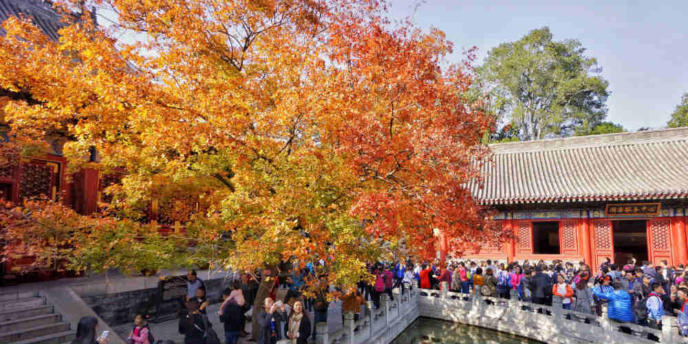 Lindas folhas vermelhas de outono de Xiangshan em Beijing