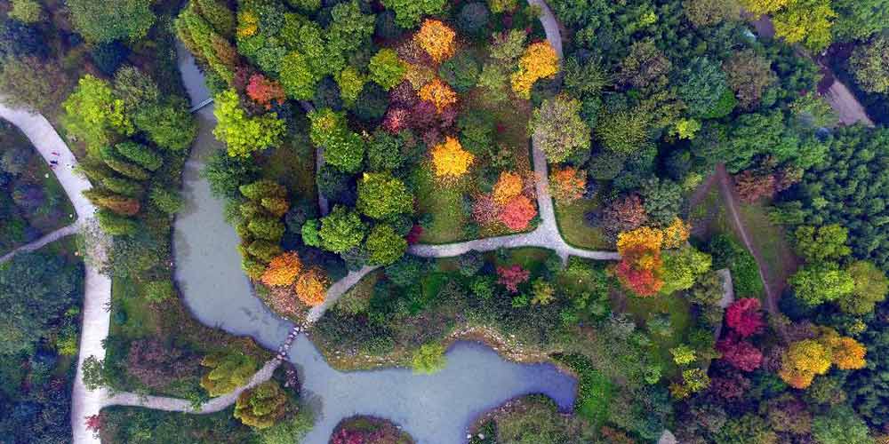 Cores do outono em Yangzhou, província de Jiangsu