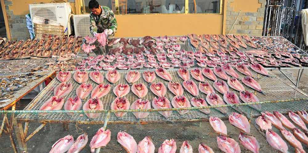 Pescadores secam peixes em um cais no leste da China