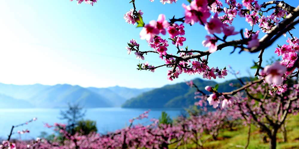 Quatro estações de belas paisagens por toda a China - primavera
