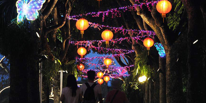 Exposição de luzes é realizada em Singapura para celebrar o Ano Novo Lunar Chinês