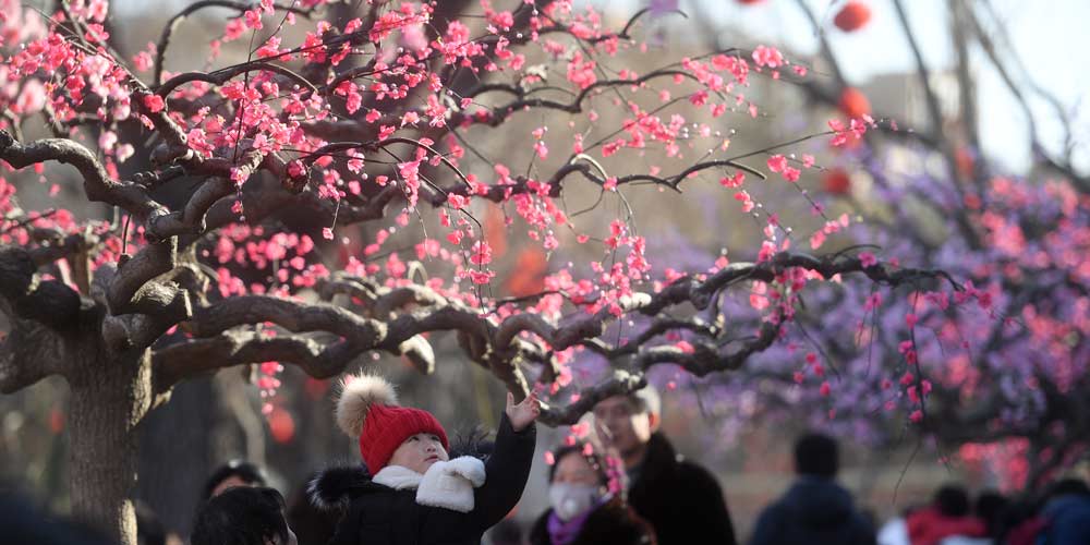 Feira de templo é realizada em Beijing para comemorar o Festival da Primaveira