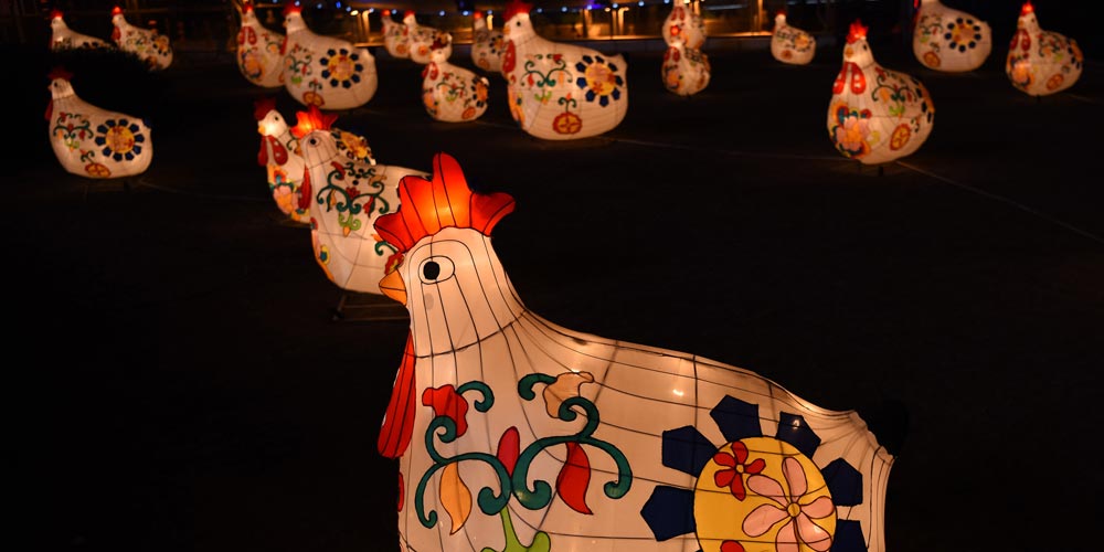 Lanternas em forma de galo são exibidas no noroeste da China