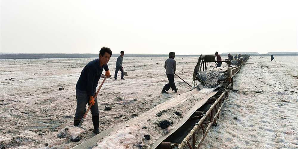 Trabalhadores extraem sulfato de magnésio de lago salgado em Yuncheng, norte da China