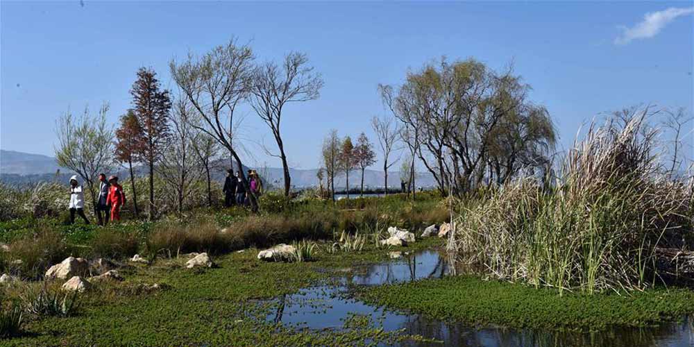 Turistam visitam parque de pantanal na área turística do Lago Dianchi em Kunming