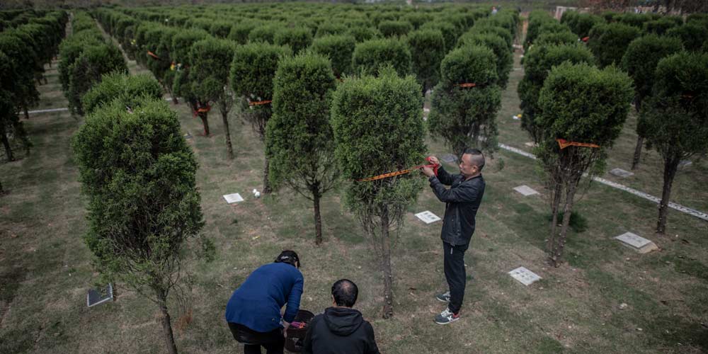 Famílias homenageiam seus entes queridos falecidos às vésperas do Festival Qingming