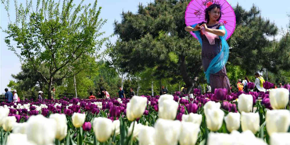 Turistas observam tulipas no nordeste da China