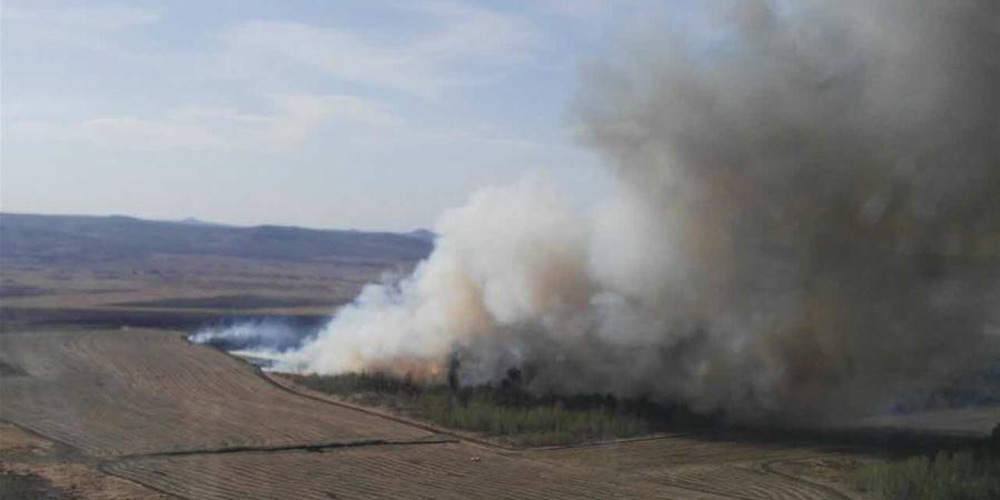 Forte incêndio atinge floresta na Mongólia Interior