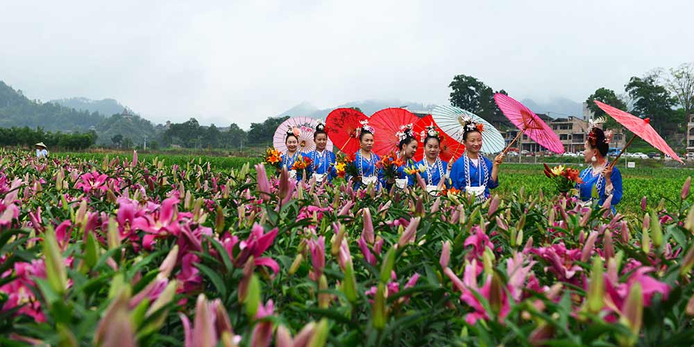 Turistas visitam jardim de lírios em Guizhou no sudoeste da China