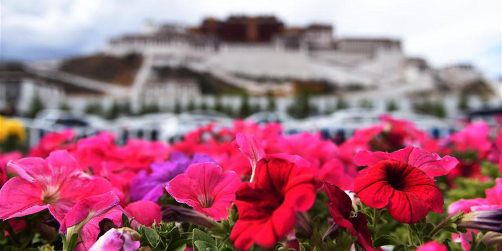 Inicia alta temporada para turistas em Lhasa