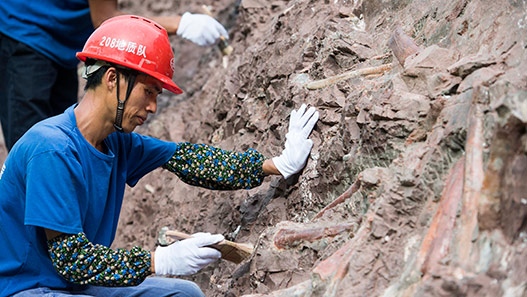 Local com fósseis de dinossauro é encontrado no sudoeste da China